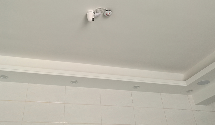 企鵝攝像機(jī)