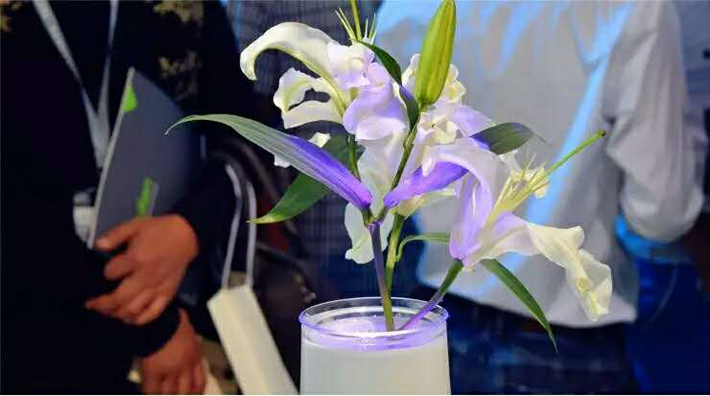 智能家居 智能家居