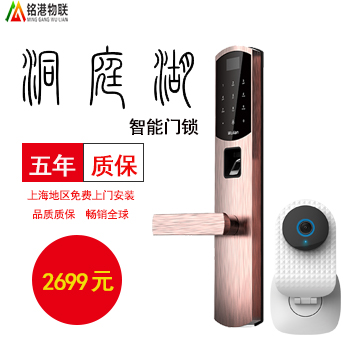 尊享版智能指紋洞庭湖門鎖+隨便看攝像頭套餐