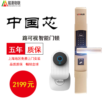 經(jīng)濟(jì)版智能指紋密碼門(mén)鎖套餐