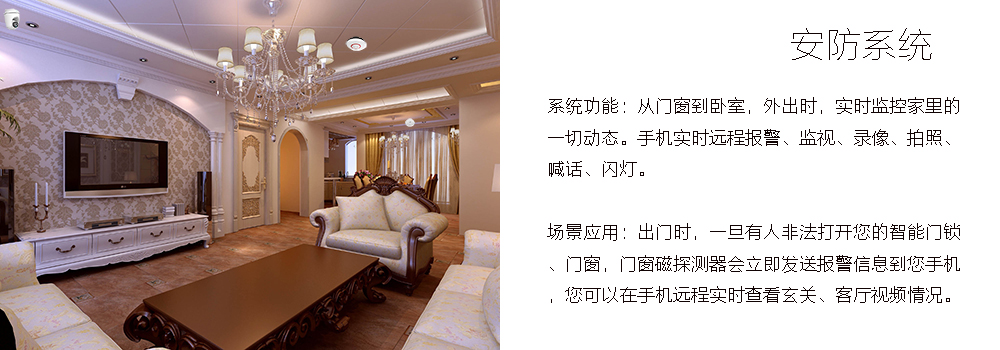 大平層安防系統